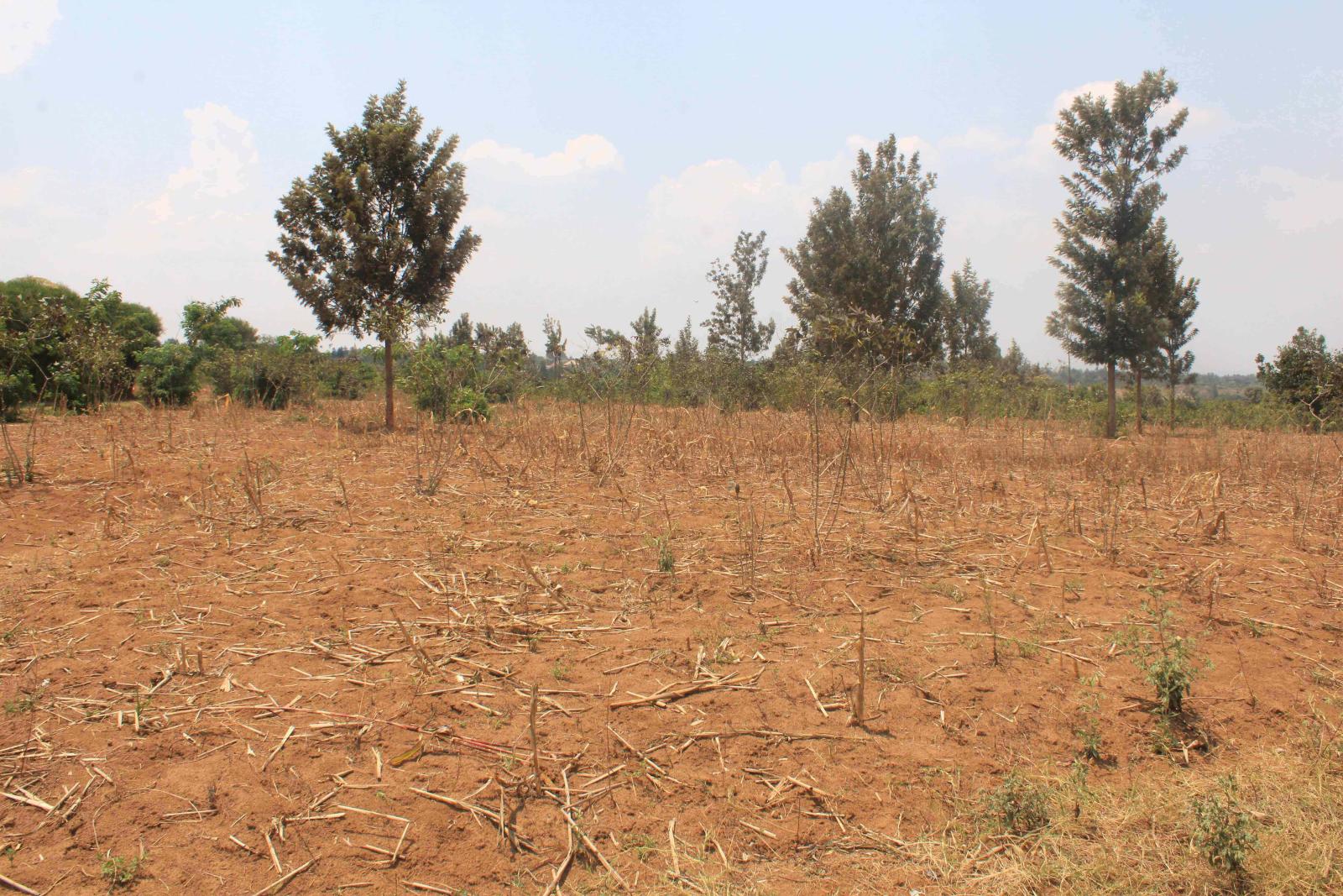 Land for sale in Bugesera near ariport of Rwanda good location 3