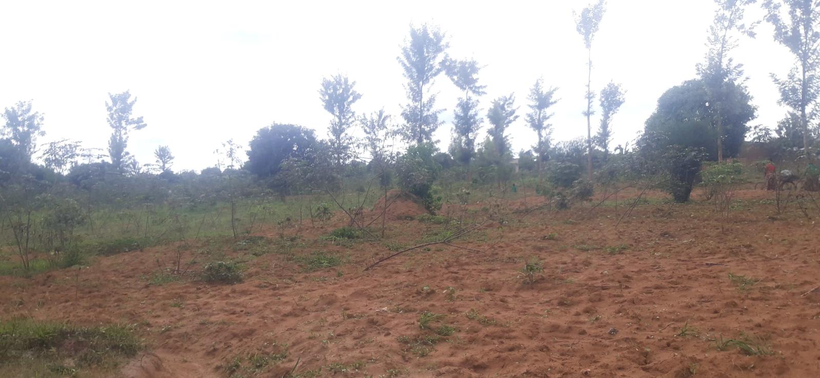 Plot for sale in Bugesera near airport of Rwanda Kabeza 3