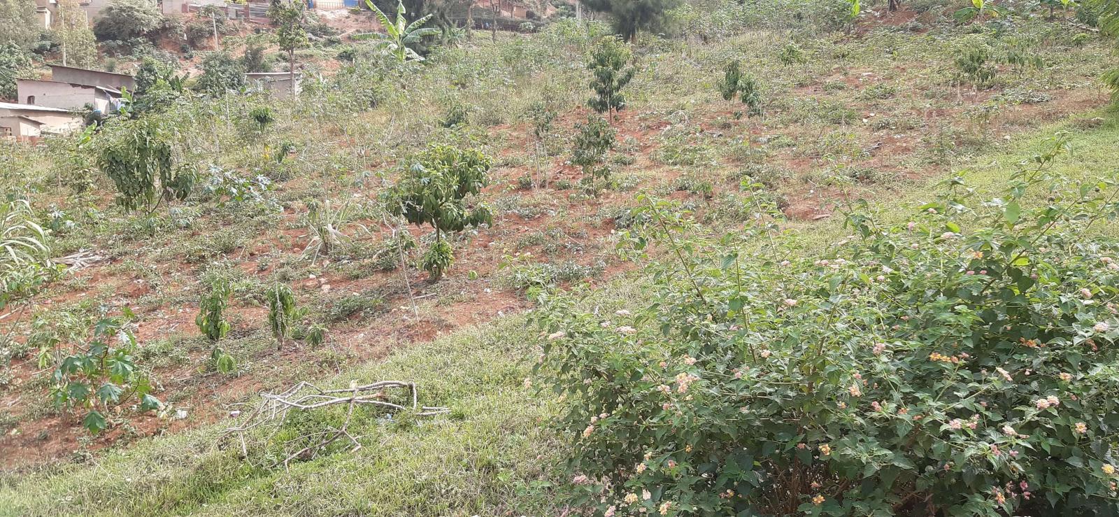 Residential pot for sale in Nyarugnege Kigali Rwanda Kimisagara 3