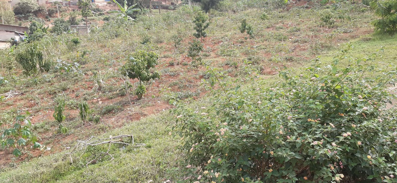 Residential pot for sale in Nyarugnege Kigali Rwanda Kimisagara