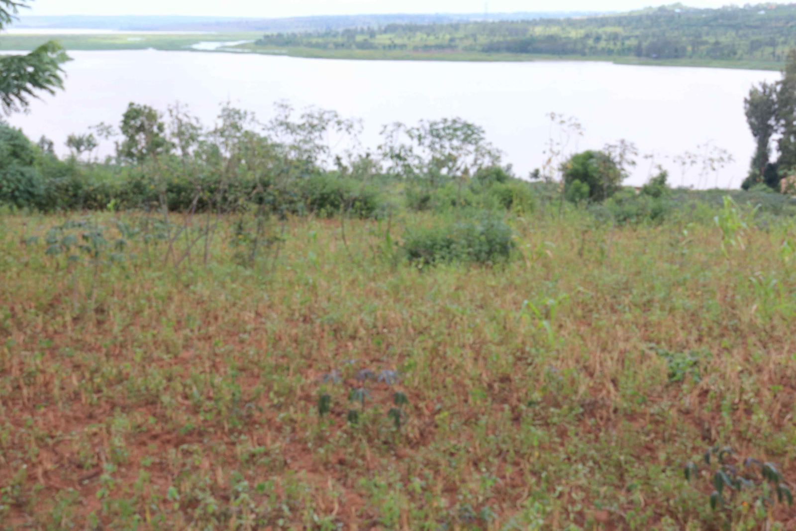 Land for sale in Bugesera near airport of Rwanda access on lake 2