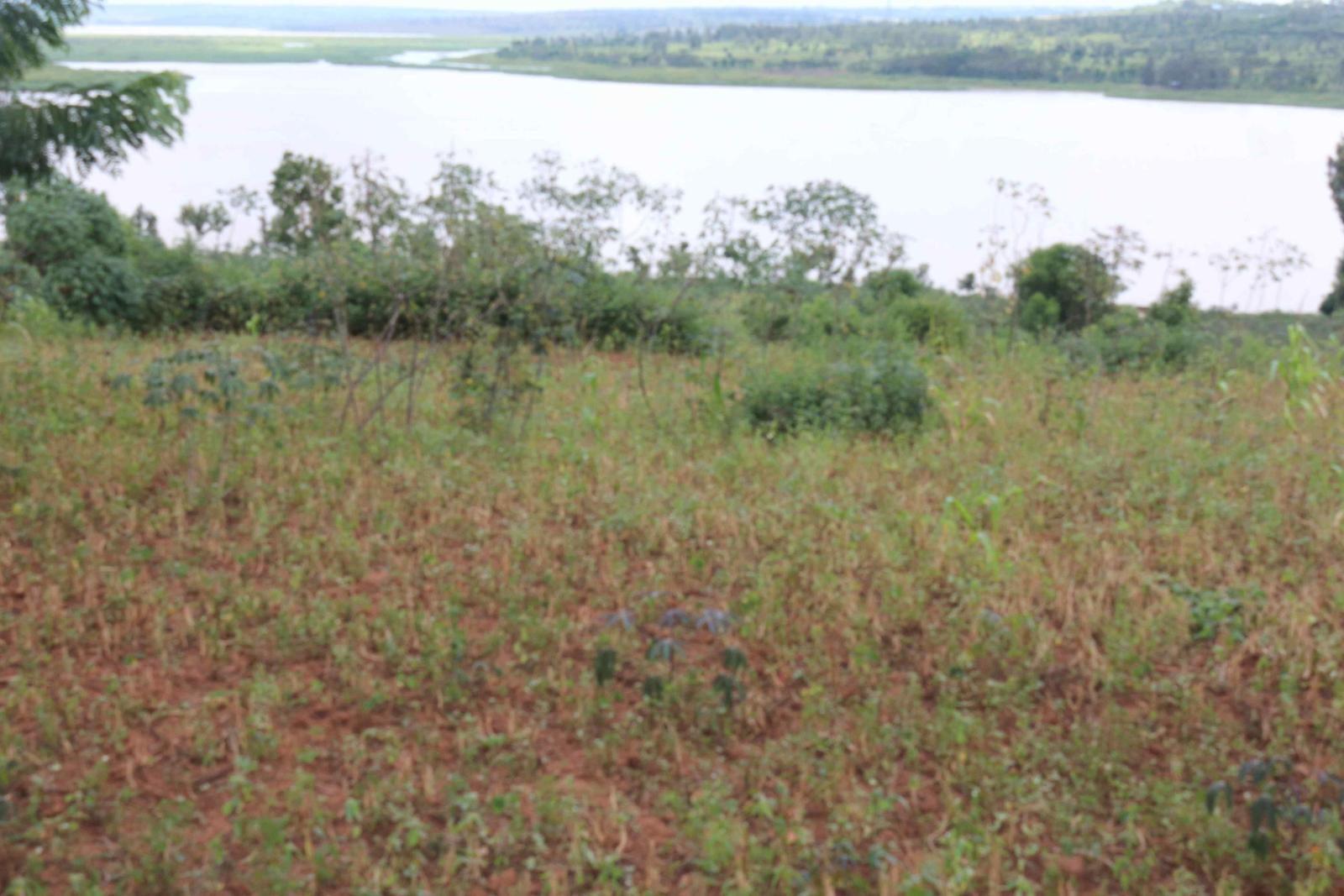 Land for sale in Bugesera near airport of Rwanda access on lake 1