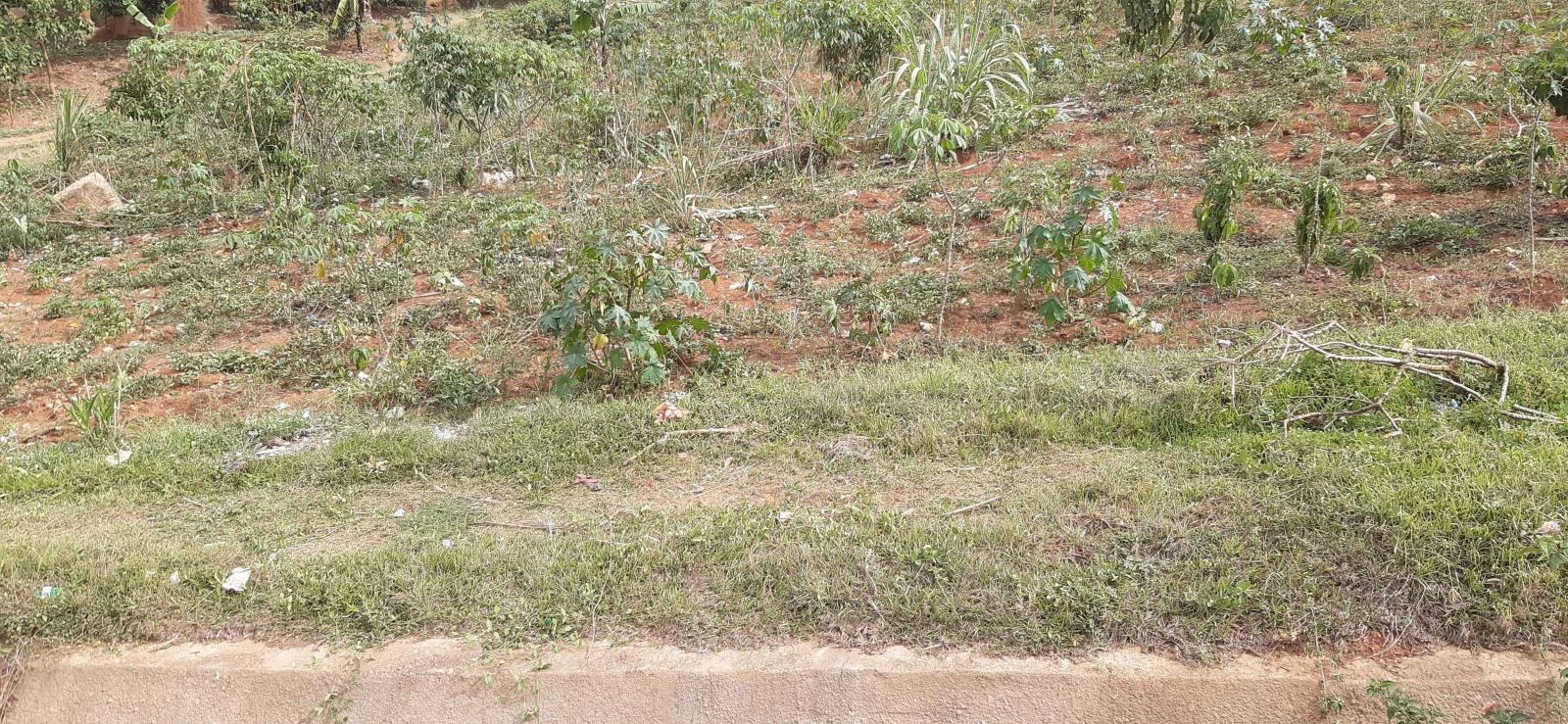 Residential Plot for sale in Kigali Rwanda Nyarugenge 3