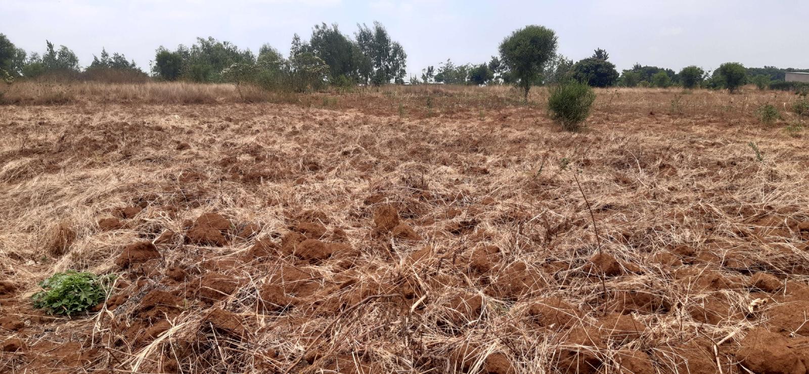 Land for sale in  Bugesera near airport of Rwanda 1