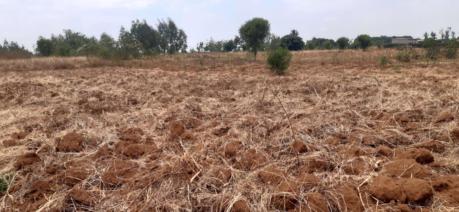 Land for sale in  Bugesera near airport of Rwanda 3