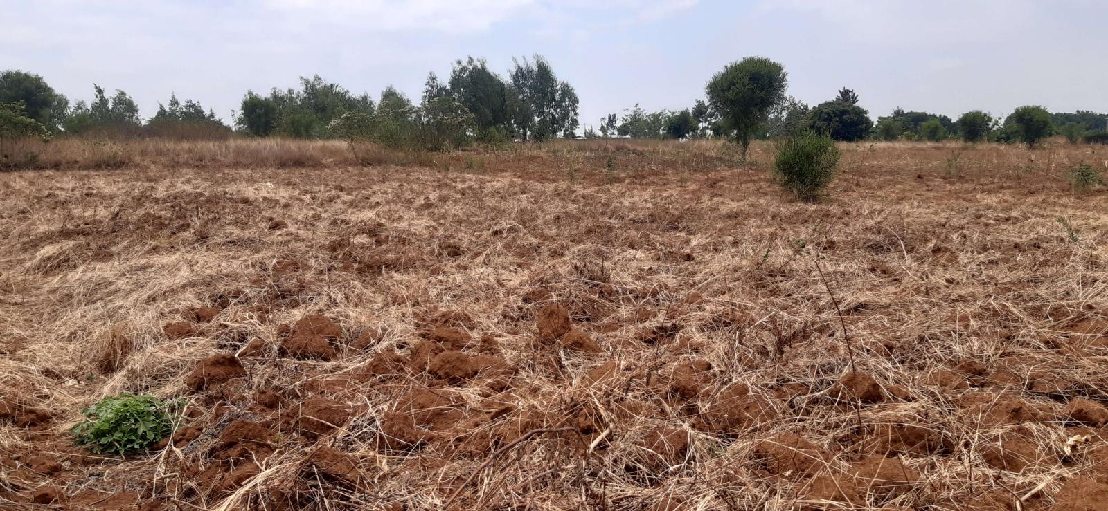 Land for sale in  Bugesera near airport of Rwanda 2