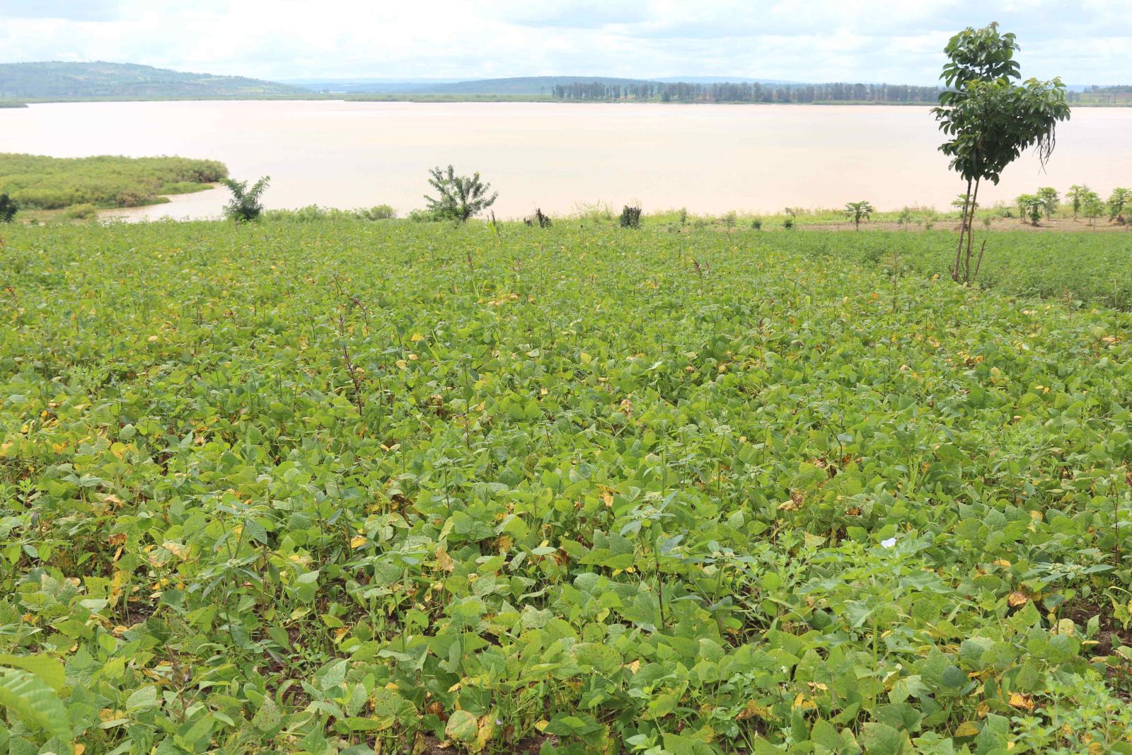 Ecotourism and Commercial land for sale in Bugesera Gashora Rwanda access on lake