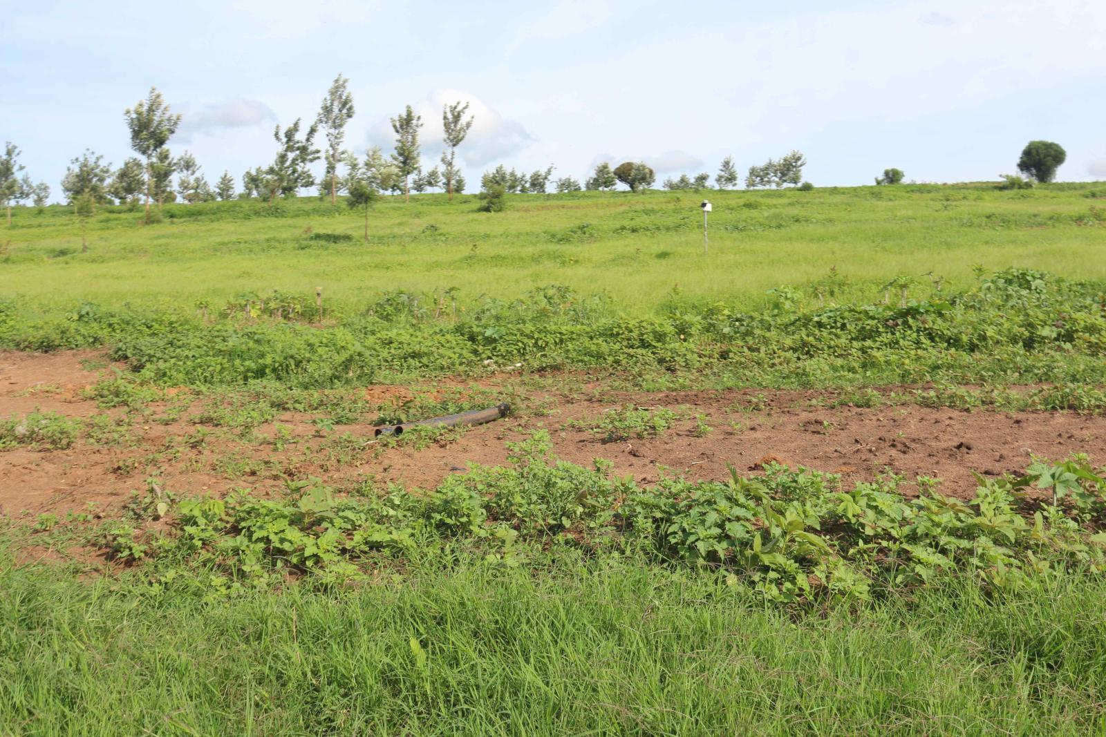 Ecotourism and Commercial land for sale in Bugesera Gashora Rwanda access on lake 3