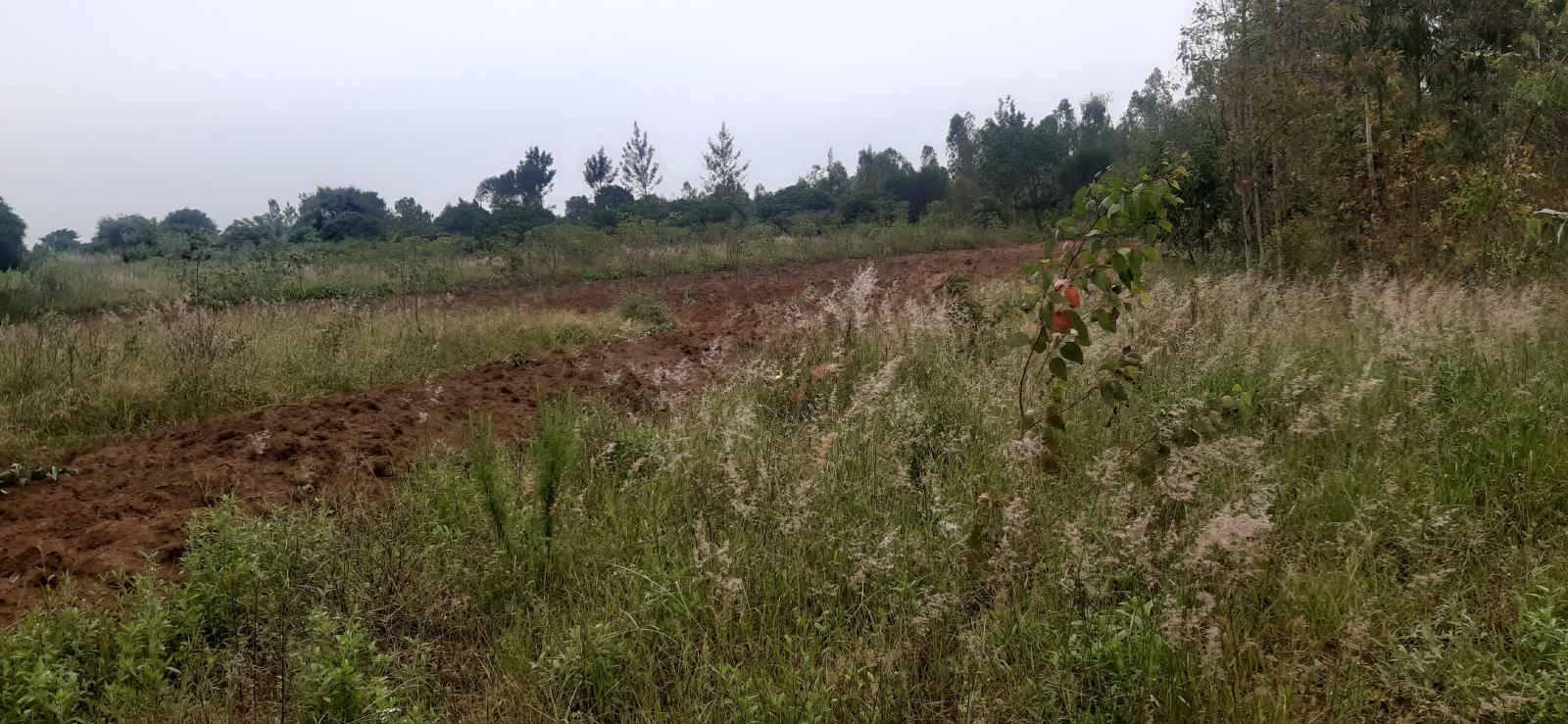 Land for sale in Bugesera mayange Near tarmac road   hot deal