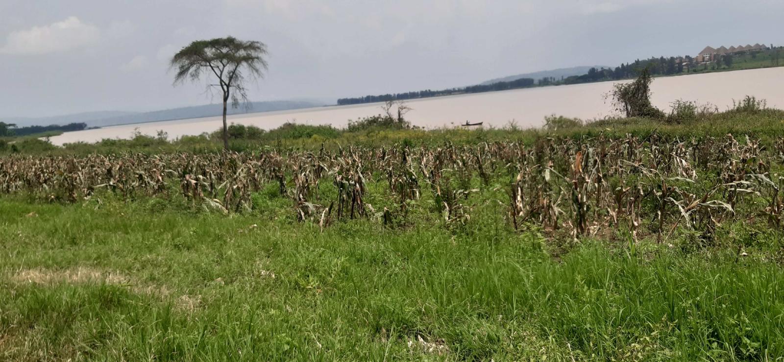 Land for sale in Bugesera Juru near airport of Rwanda Access on lake 3
