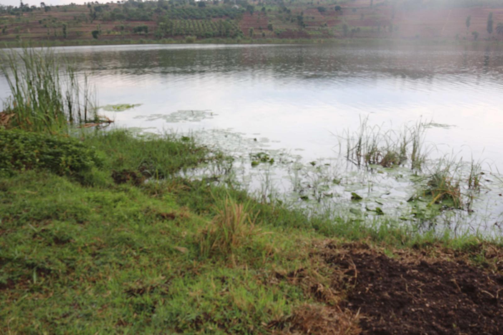 Land for sale in Bugesera Rwanda Kamabuye with Macadamia tress Access on Lake 4