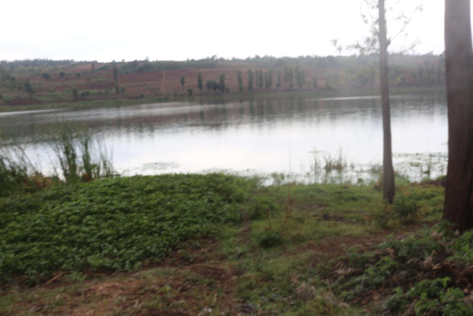 Land for sale in Bugesera Rwanda Kamabuye with Macadamia tress Access on Lake 1