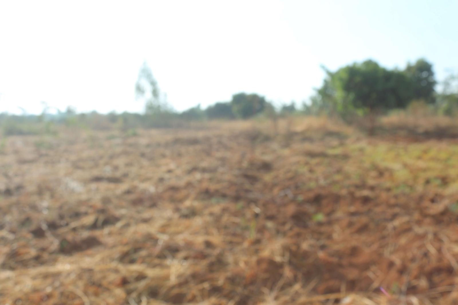 Land for sale in Bugesera Kamambuye Rwanda, hot deal 4