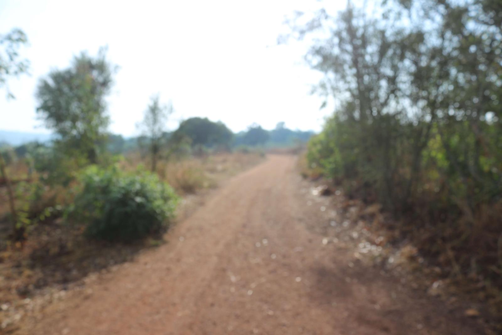 Land for sale in Bugesera Kamambuye Rwanda, hot deal 3