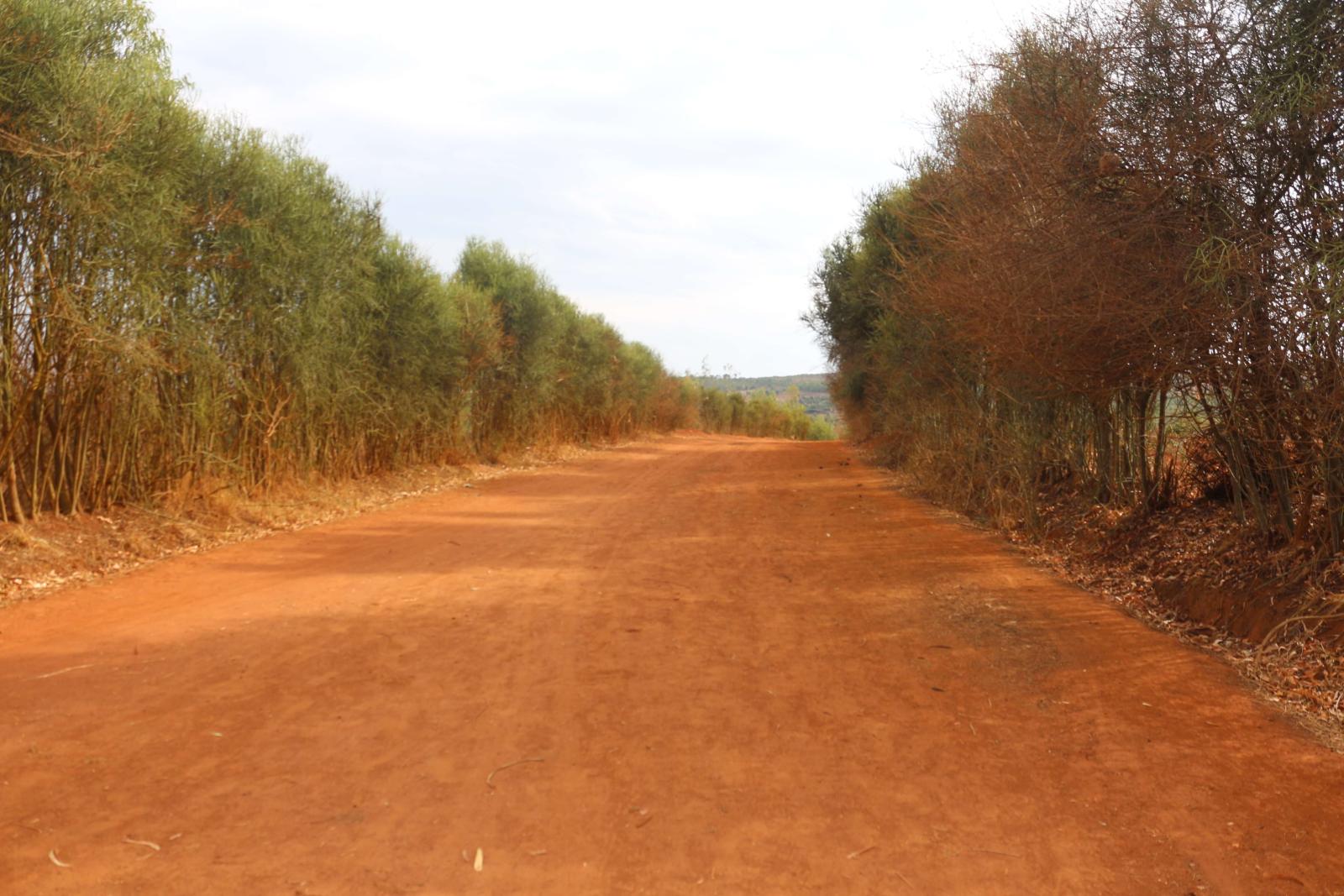 Land for sale in Bugesera Nemba  of Rwanda, hot deal 3