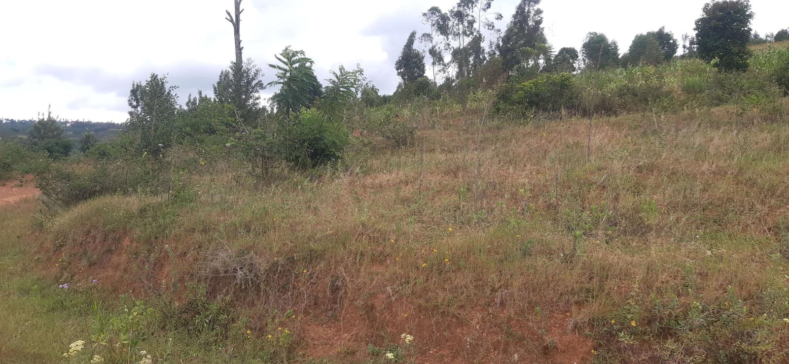 We are pleased to offer a prime hotel development land for sale located in Nyarugenge Kanyinya , Rwanda, in a strategic and attractive area near on top Mountain 1