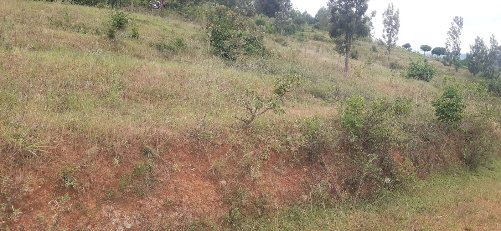 We are pleased to offer a prime hotel development land for sale located in Nyarugenge Kanyinya , Rwanda, in a strategic and attractive area near on top Mountain 3