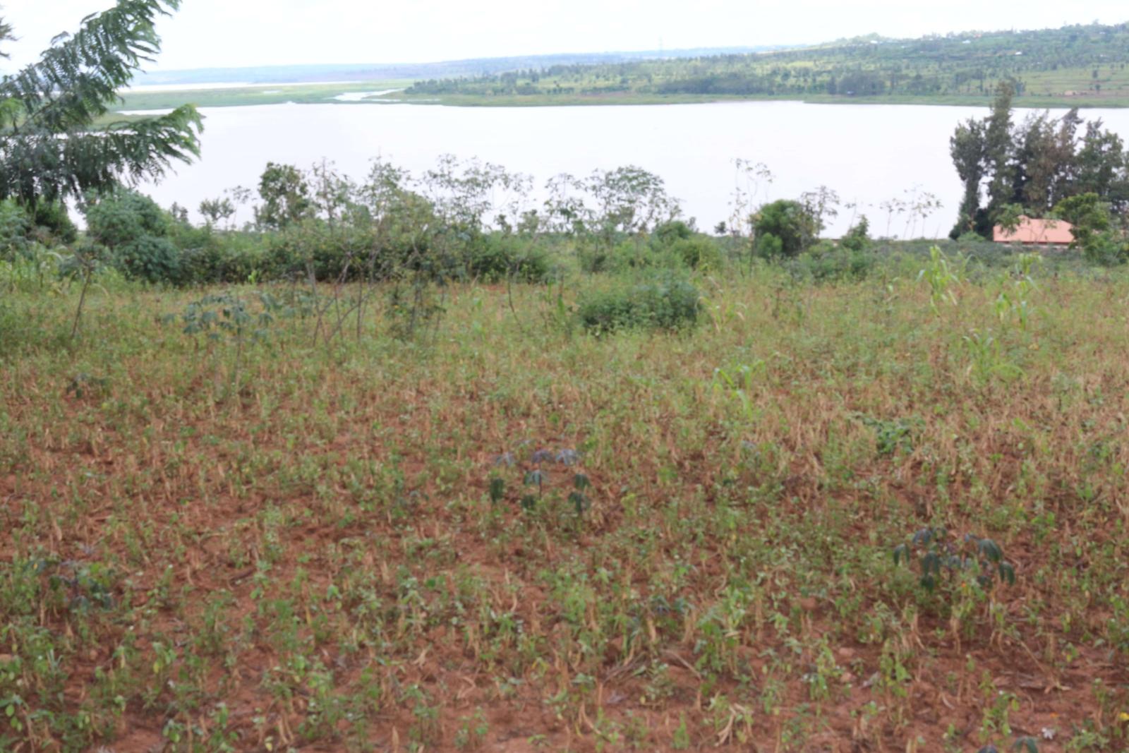 Land for sale in Ngoma Access on lake good water Good deal RUkumberi  Land access on lake 3