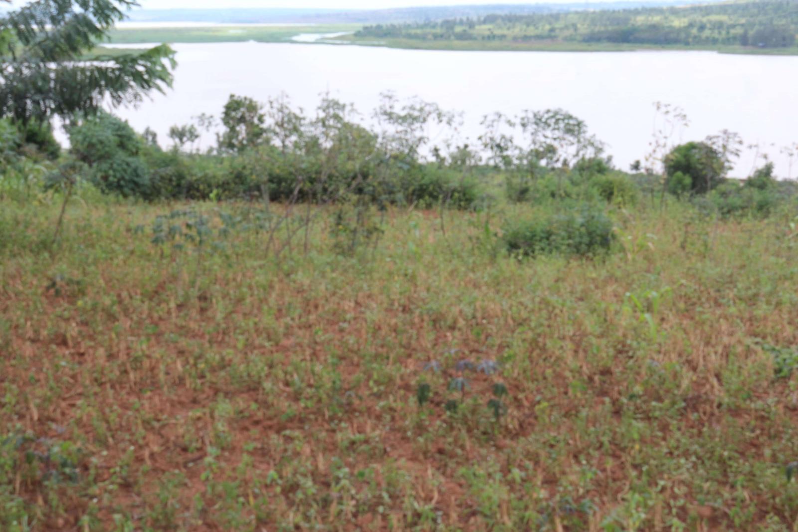 Land for sale in Ngoma Access on lake good water Good deal RUkumberi  Land access on lake 1