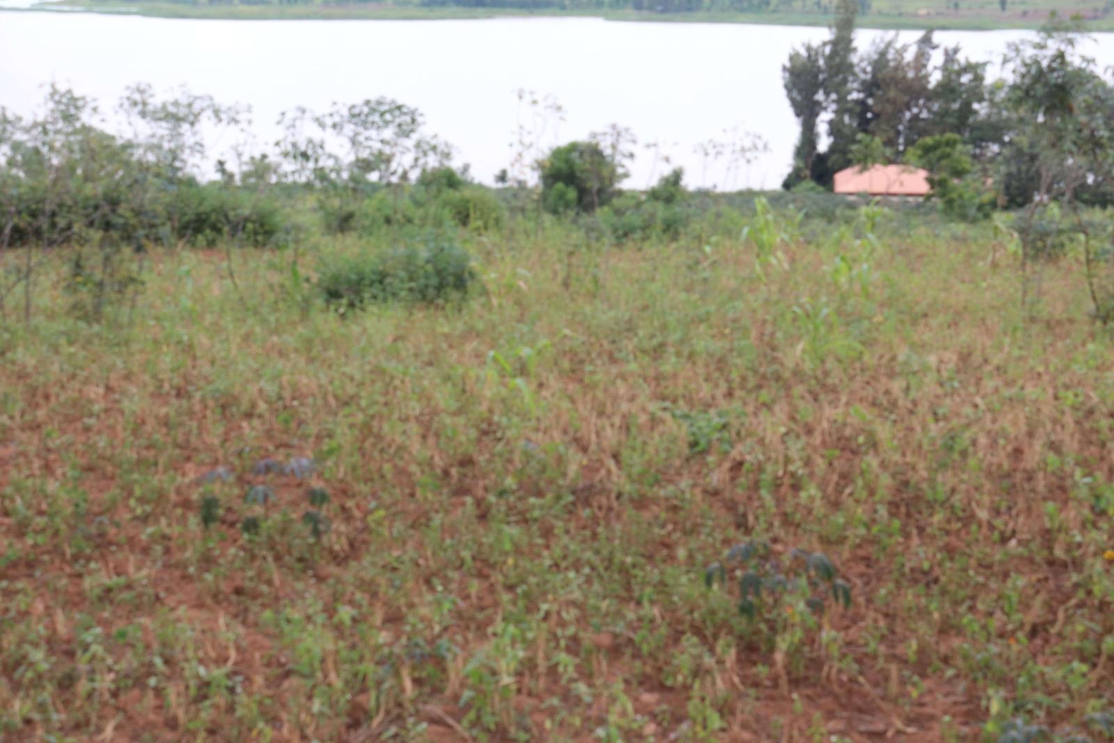 Land for sale in Ngoma Access on lake good water Good deal RUkumberi  Land access on lake 2