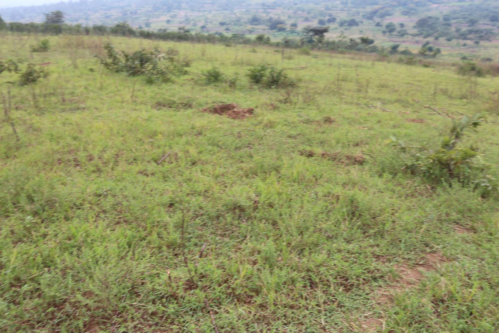 We are pleased to offer a prime hotel development land for sale located in Nyarugenge Kanyinya , Rwanda, in a strategic and attractive area near on top Mountain  BookHotels  Property Details: Realesta 1