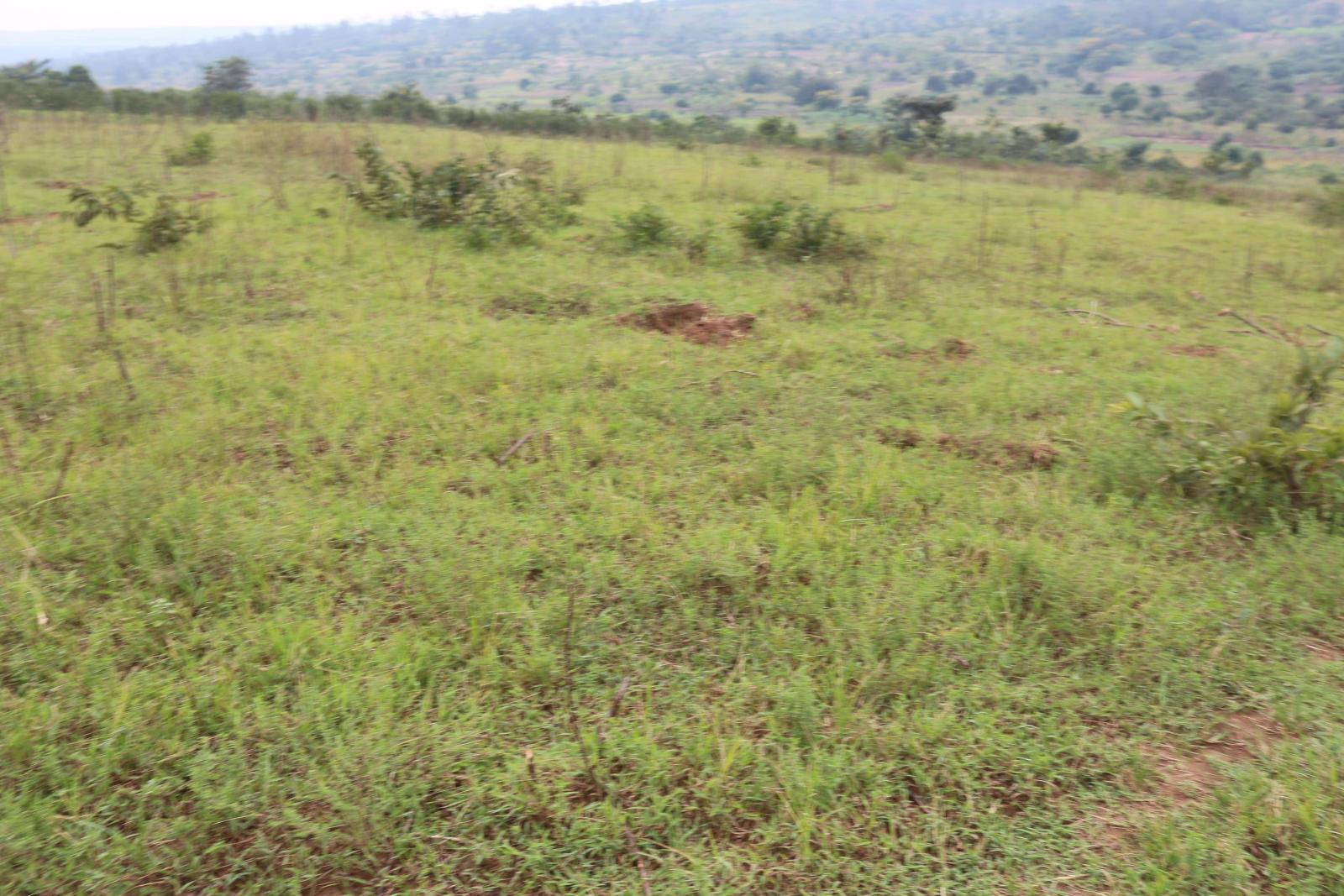 We are pleased to offer a prime hotel development land for sale located in Nyarugenge Kanyinya , Rwanda, in a strategic and attractive area near on top Mountain  BookHotels  Property Details: Realesta 3