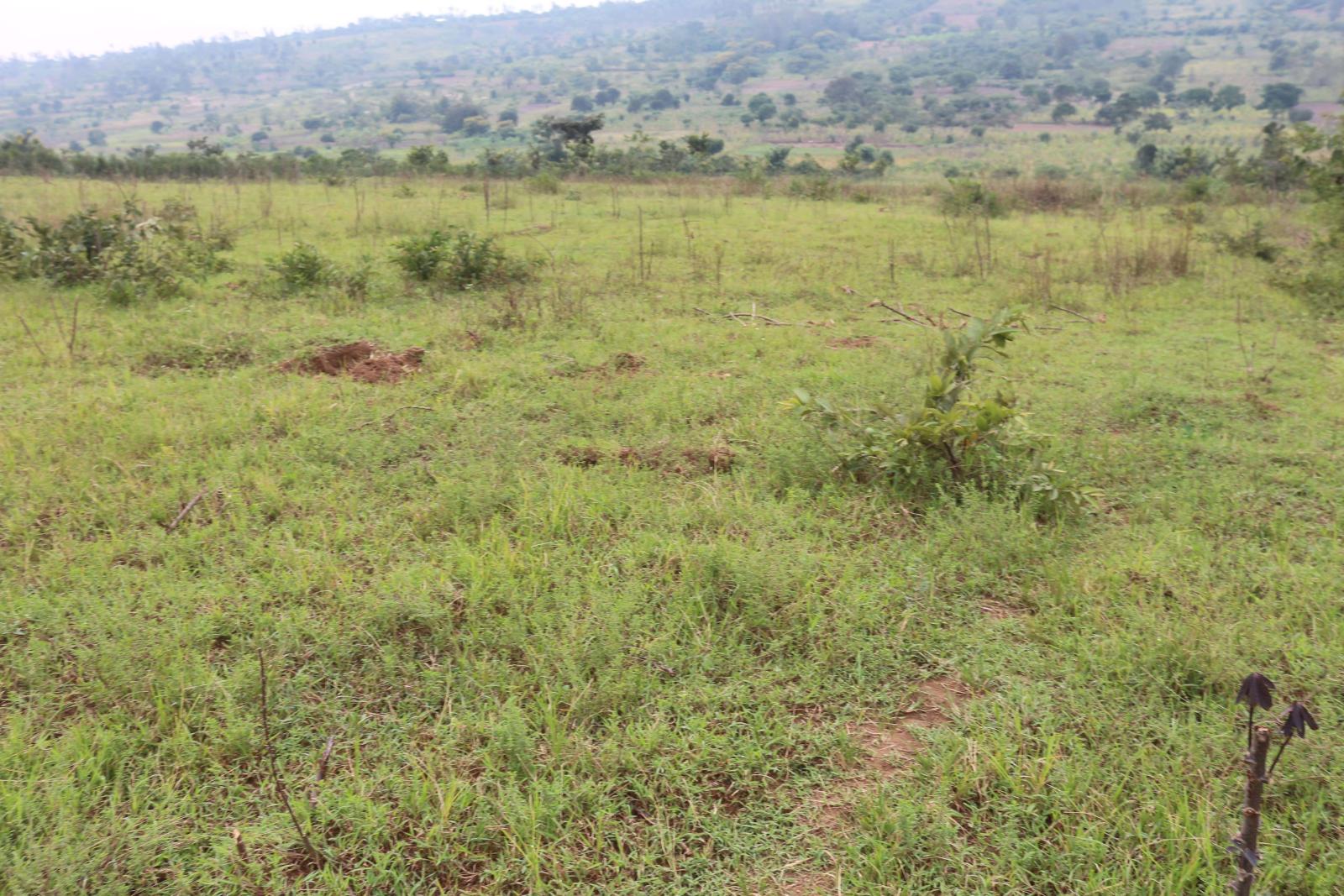 We are pleased to offer a prime hotel development land for sale located in Nyarugenge Kanyinya , Rwanda, in a strategic and attractive area near on top Mountain  BookHotels  Property Details: Realesta 2