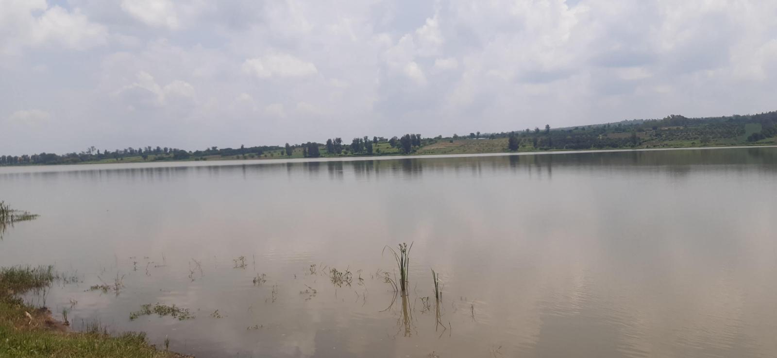 Land for sale in Bugesera Rilima near Bugesera Airport and formula one A hot deal: land for sale in Bugesera near the airport, access to the lake near Bugesera Airport Rwanda 1