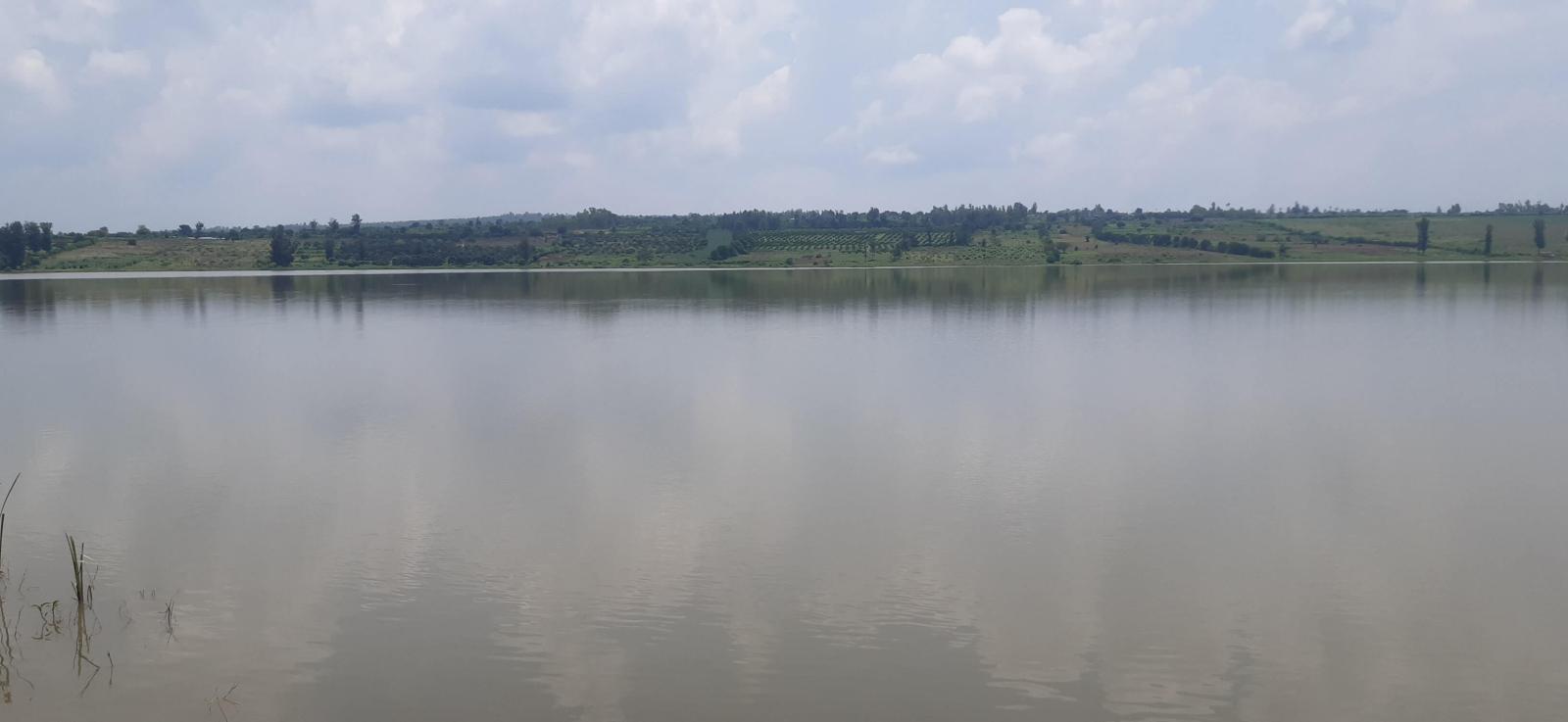 Land for sale in Bugesera Rilima near Bugesera Airport and formula one A hot deal: land for sale in Bugesera near the airport, access to the lake near Bugesera Airport Rwanda 2