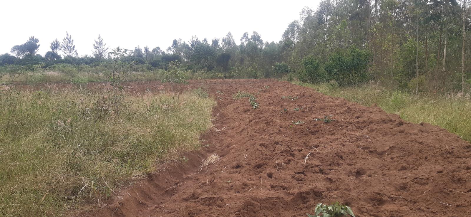 Land for sale in Bugesera Rilima near Bugesera Airport and formula one A hot deal: land for sale in Bugesera near the airport, access to the lake near Bugesera Airport Rwanda 4