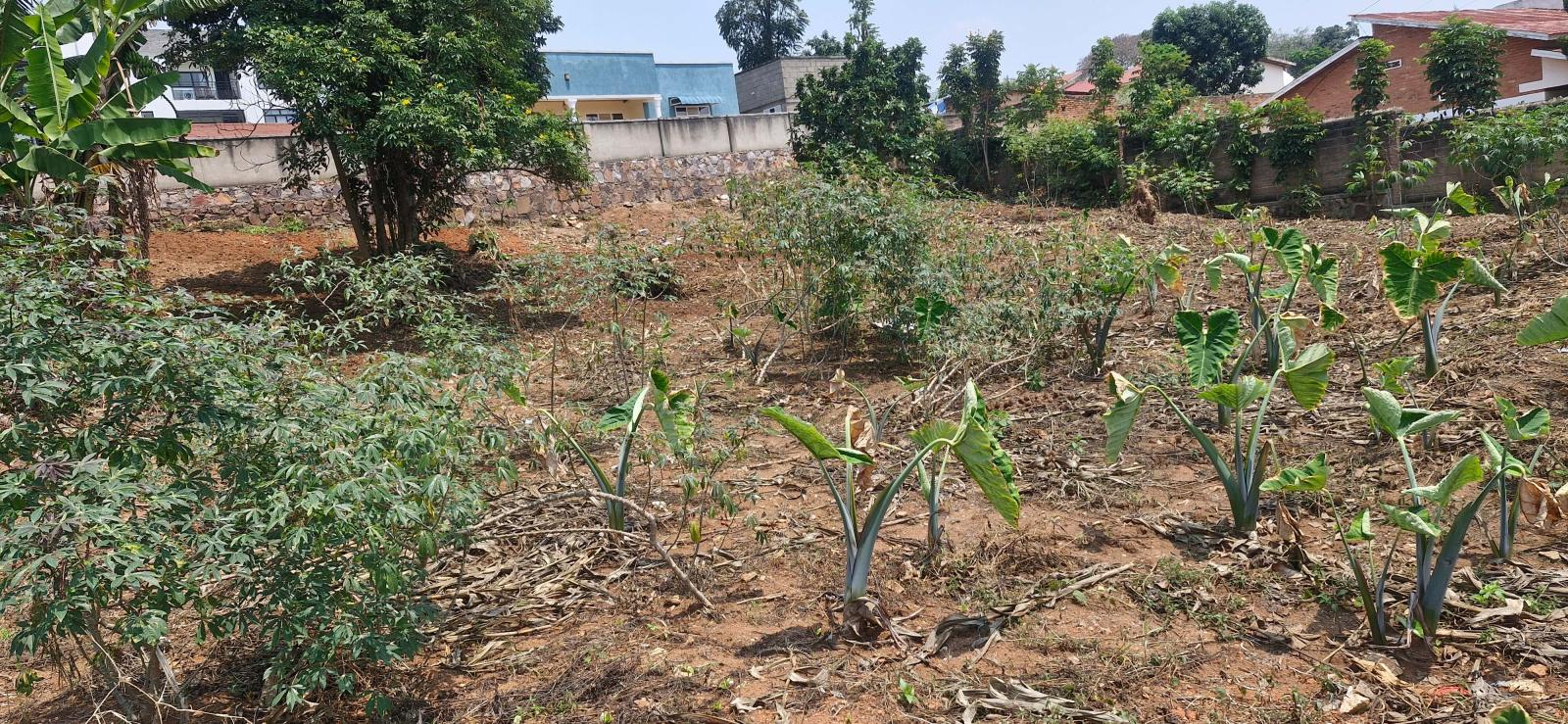 Residential Land for Sale in Bugesera, Near the Airport: Hot Deal Rilima 1