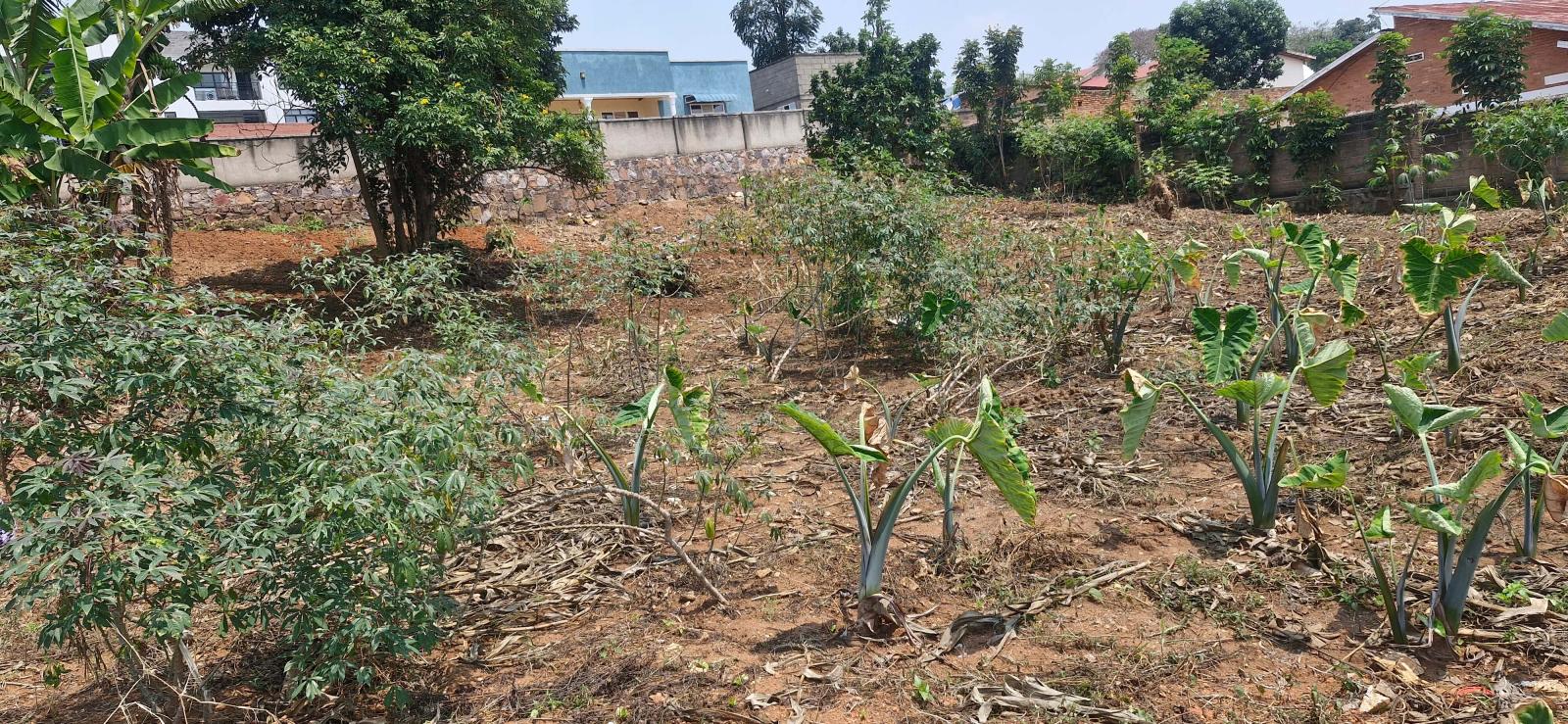 Residential Land for Sale in Bugesera, Near the Airport: Hot Deal Rilima 3
