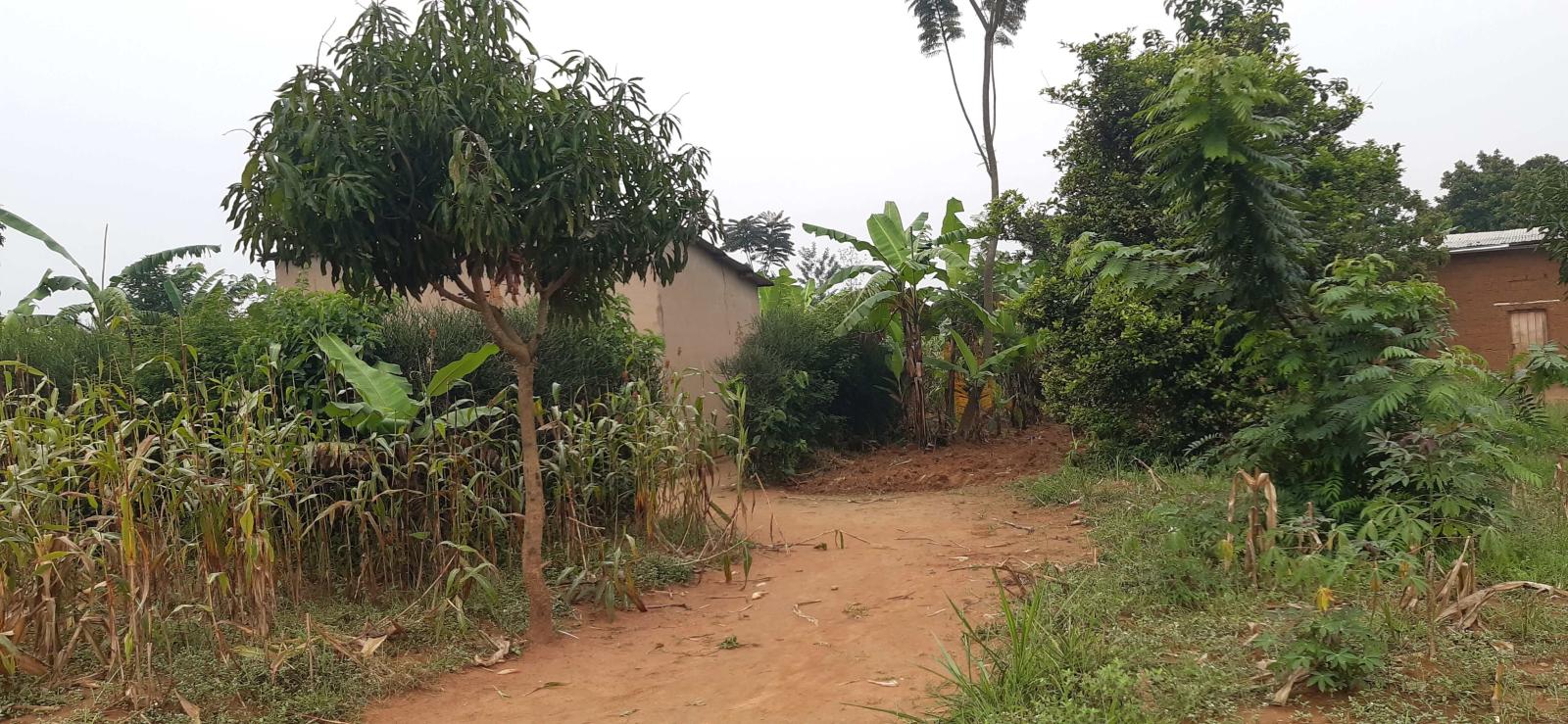 Residential Land for Sale in Bugesera, Near the Airport: Hot Deal Rilima 1