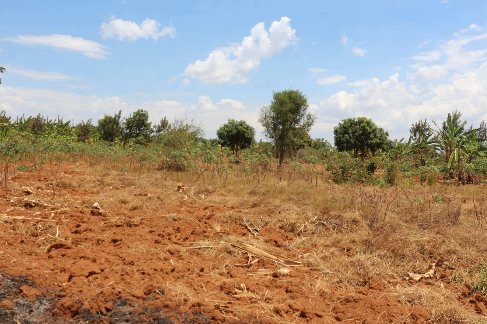 Bugesers Land for Sale in Kamabuye Bugesera Rwanda  Hot deal 2