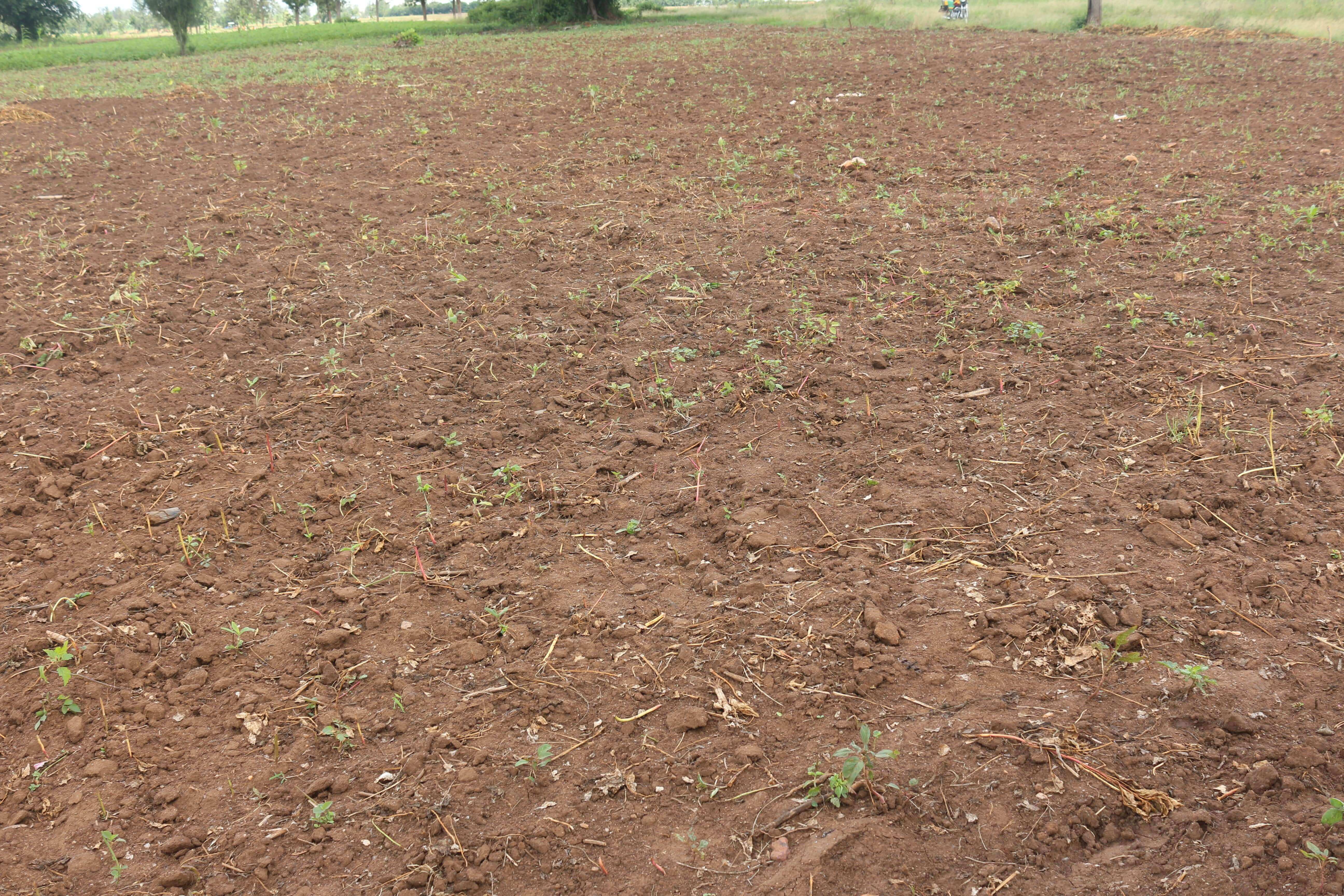 Land for sale in Gashora Bugesera Access on lake  Hot deal 3