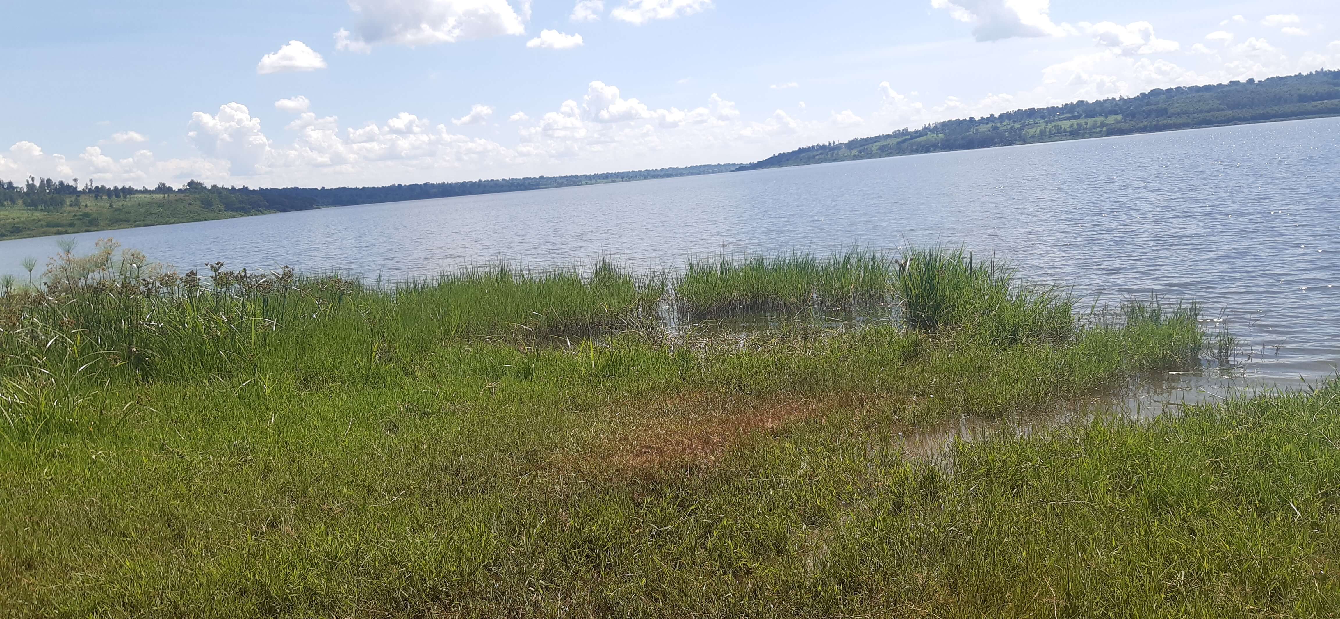 Land for sale Bugesera near airport of Rwanda Hot Deal 2
