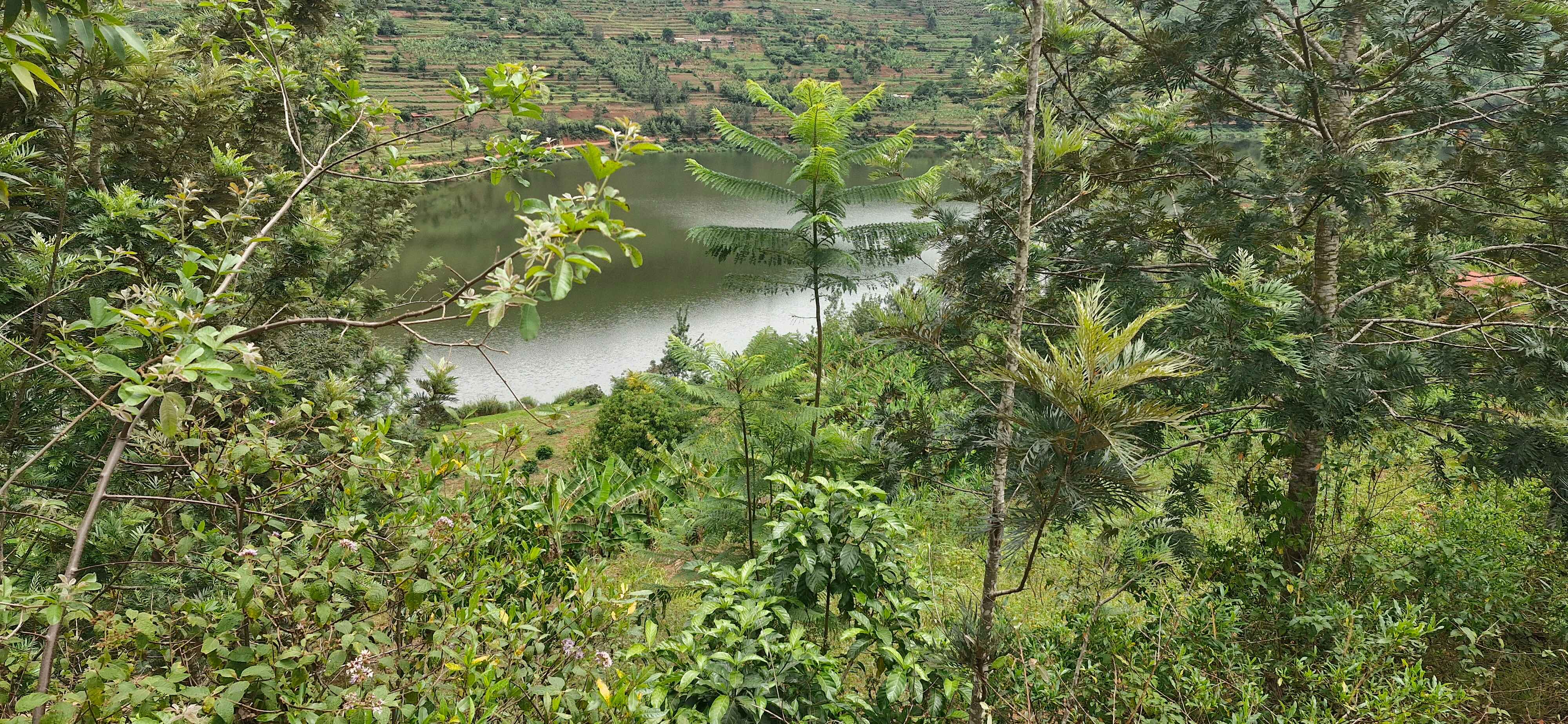 Plot for sale near mahazi lake good view in Ecotourism 3