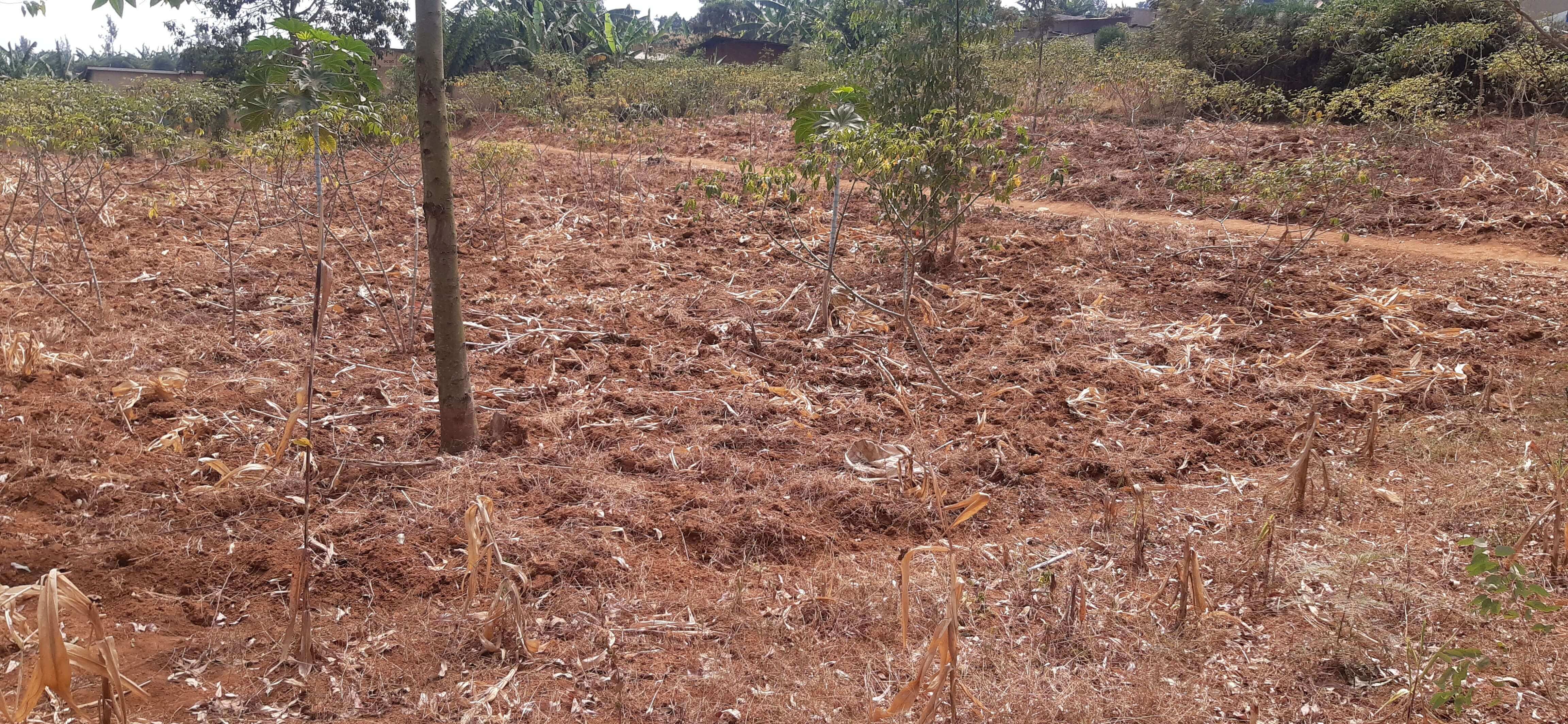Residential plot for sale in Busanza kigali Rwanda 2