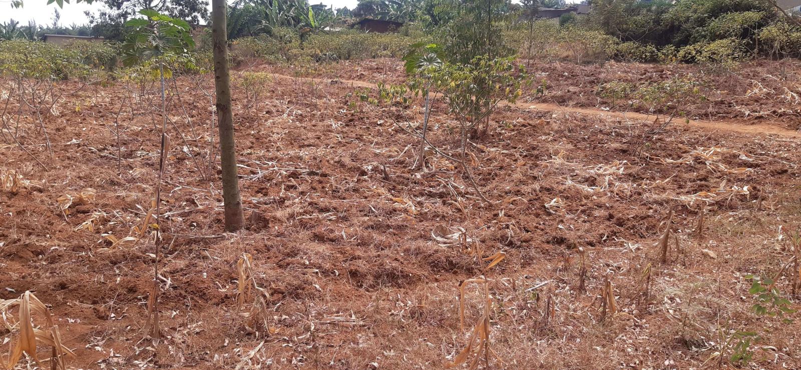 Residential plot for sale in Busanza Kigali Rwanda Hot deal 2
