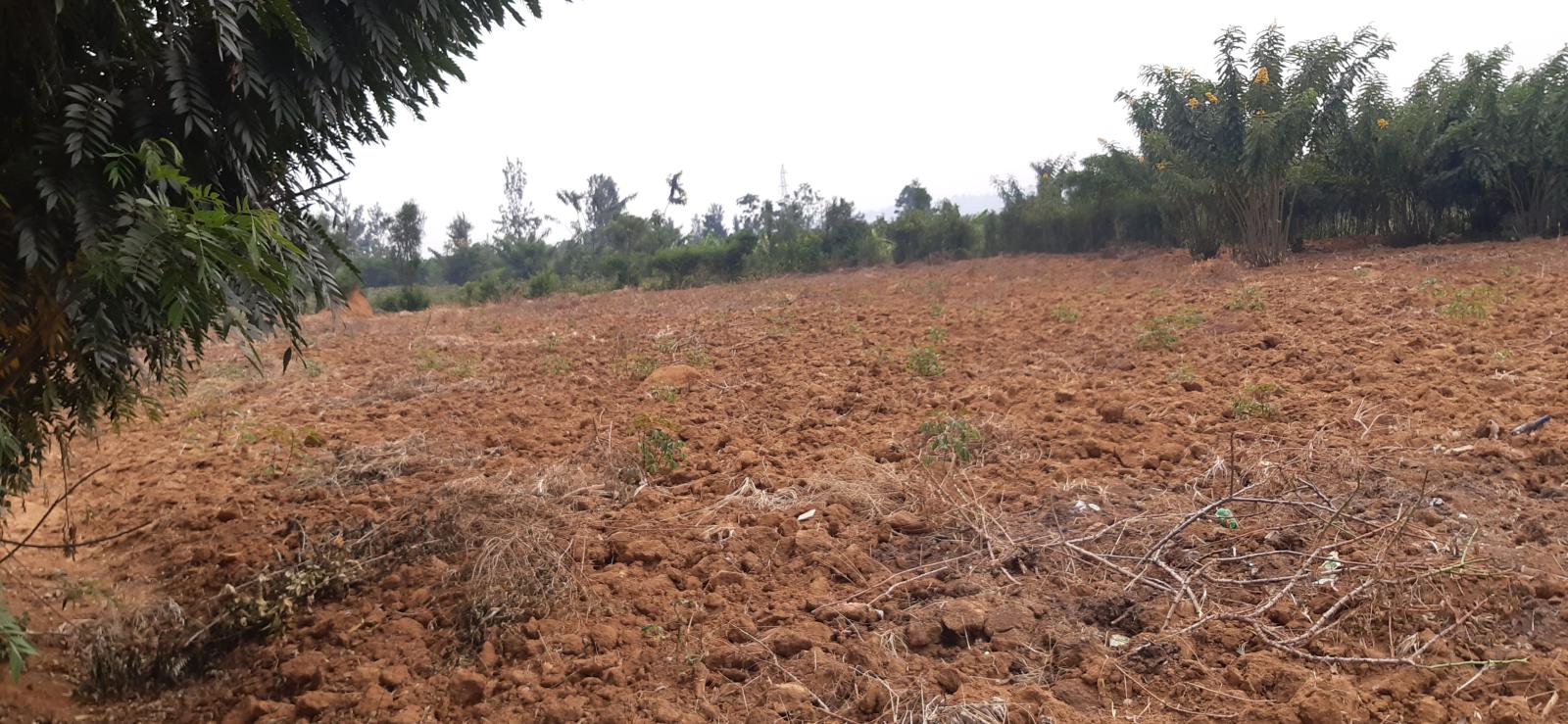 Land for sale in Bugesera near airport of Rwanda Hot deal 1