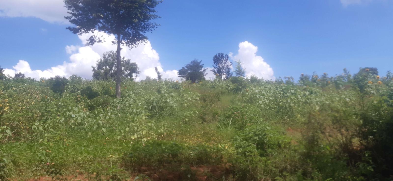 Land for sale in Bugesera near airport of Rwanda access on lake