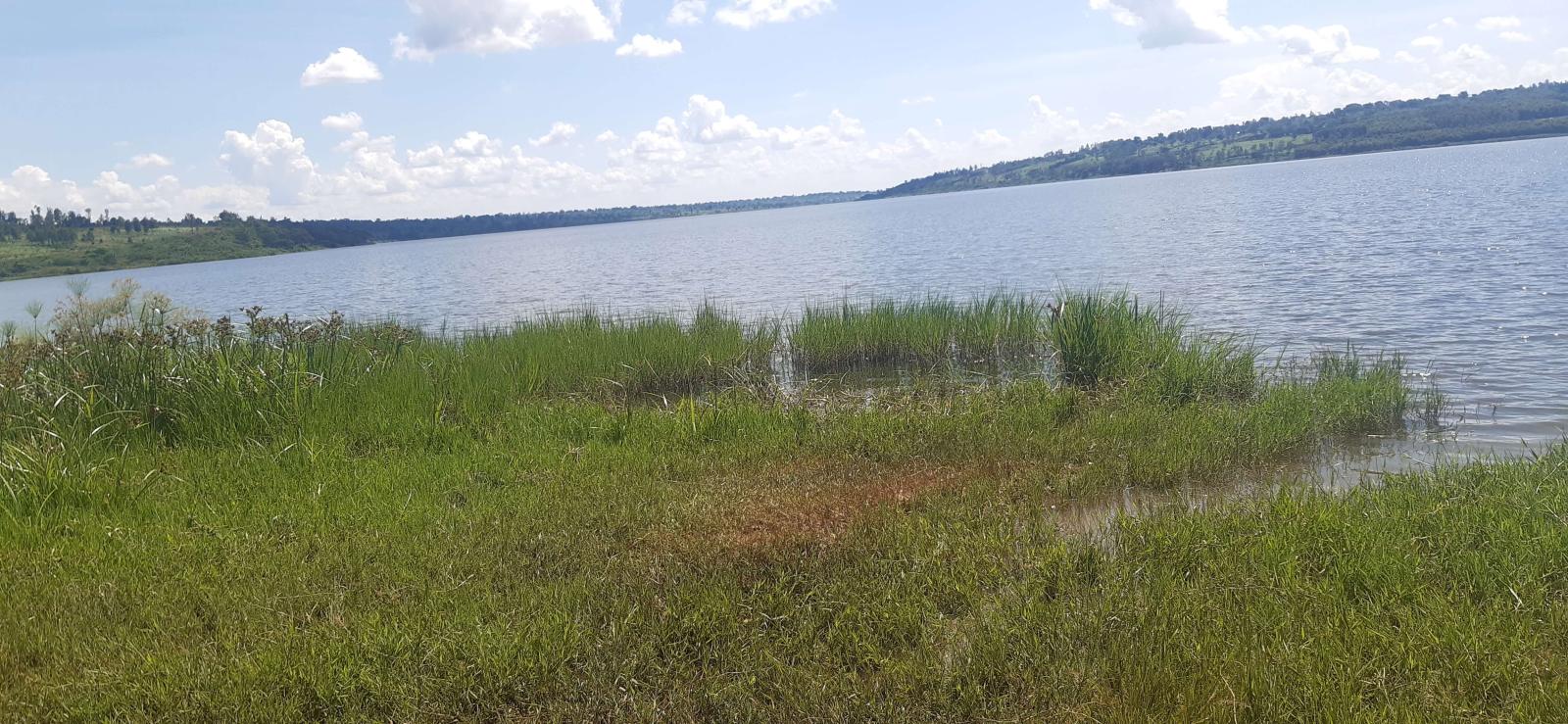 Land for sale in Bugesera near airport of Rwanda access on lake 3