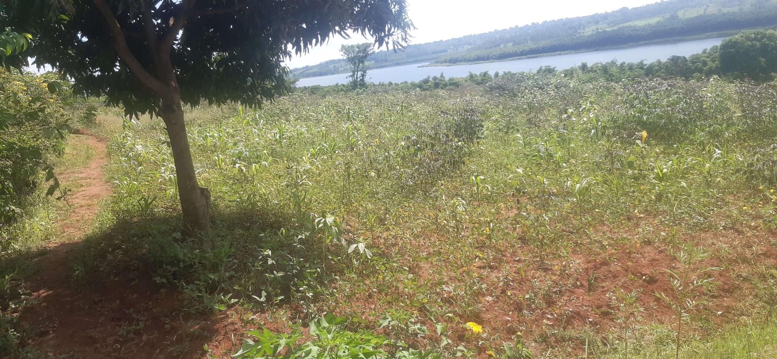 Land for sale in Bugesera near airport of Rwanda access on Lake 3