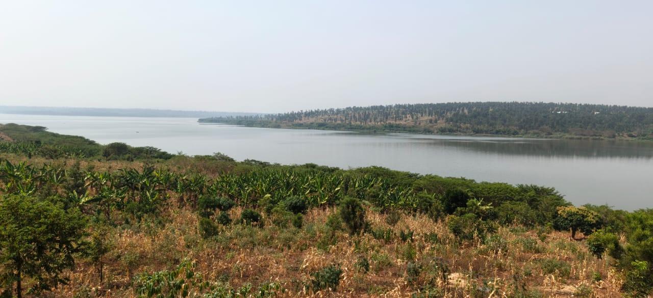 Land for sale in Ngoma access on lake Good deal 1