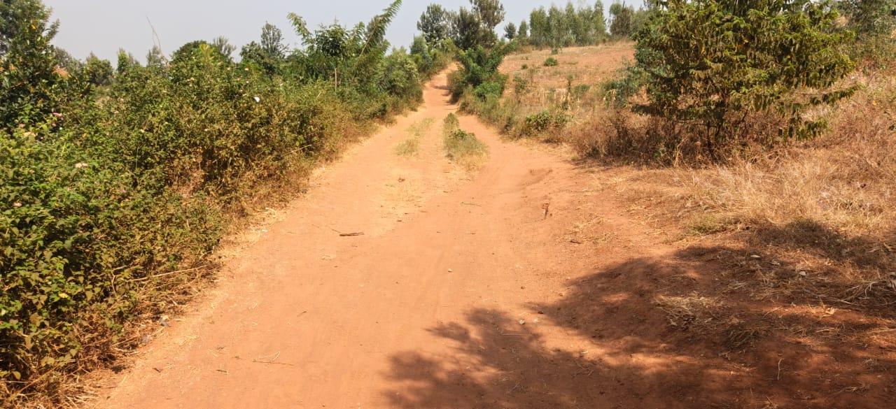 Land for sale in Ngoma access on lake Good deal 2