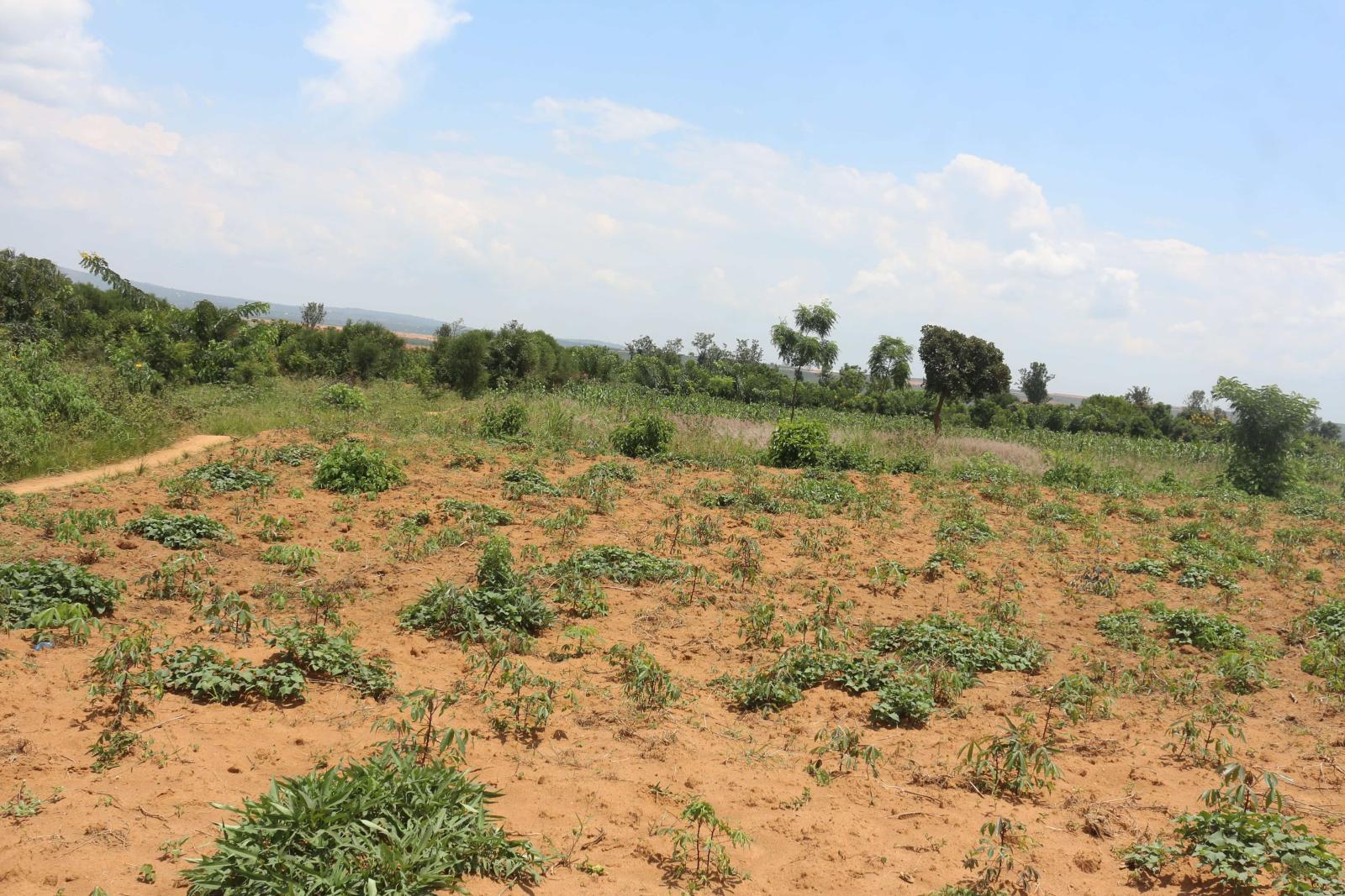 Industrial land for sale in Rulindo Shyorong Rwanda on main road