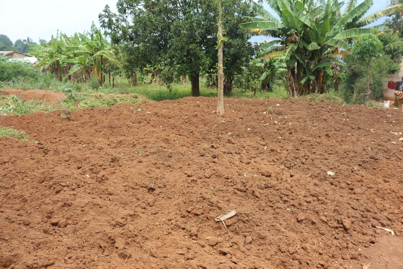Industrial land for sale in Bugesera near airport of Rwanda hot deal 1