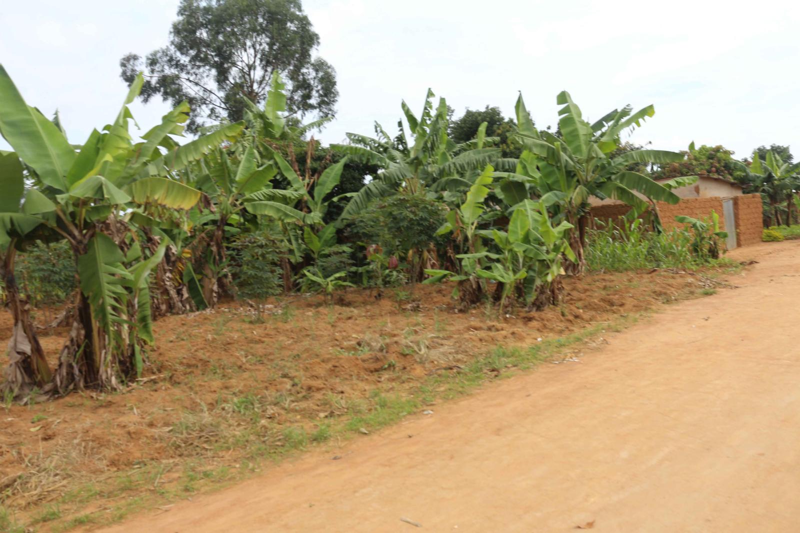 Commercial Plot for sale in Kigali Nyarugenge Shyorongi Good deal 2