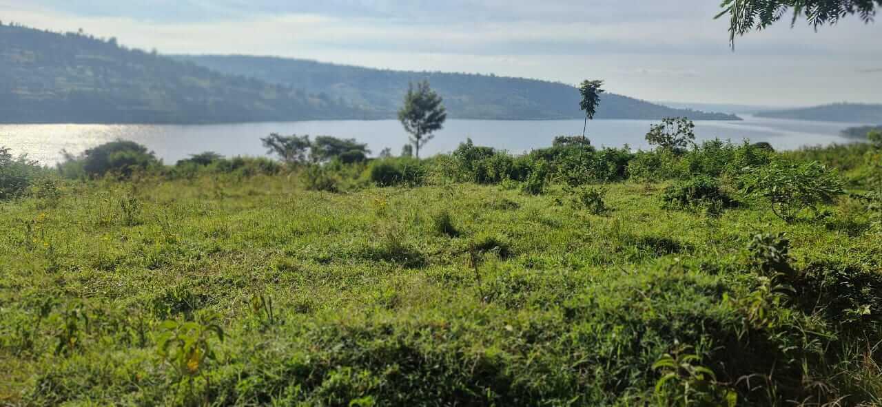 Ecotourism and Hotel land for sale in Muhazi Rwamagana Rwanda Access on lake 3