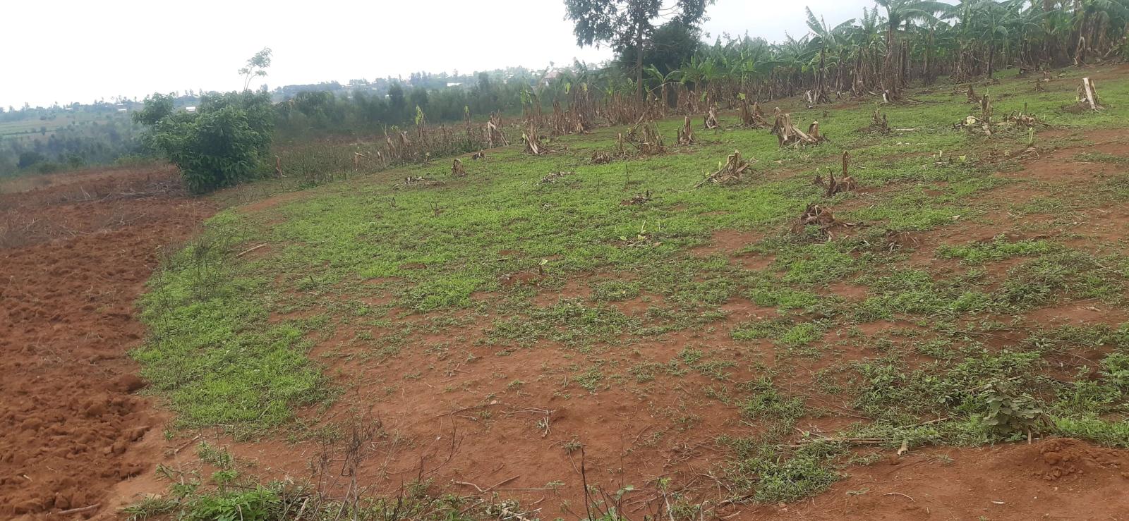 Industrial land for sale in Bugesera near airport of Rwanda good deal 1
